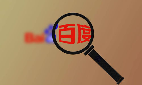 蜘蛛池怎么让网站快速收录
